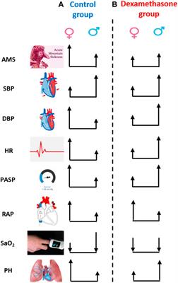 Sexual Dimorphism of Dexamethasone as a Prophylactic Treatment in Pathologies Associated With Acute Hypobaric Hypoxia Exposure